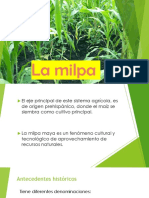 La Milpa