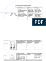 Guia Procedimental Empalmes