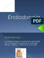 Endodoncia 101231105241 Phpapp02