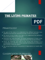 THE-LIVING-PRIMATES.pptx