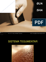 Gua Sha PDF