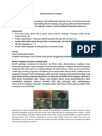 Adenocarcinoma Esofagus PDF