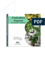 BRT Fruticulturatropical v.1
