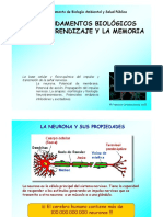3-LA-NEURONA-1.pdf