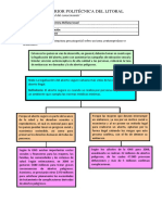 Texto Argumentativo Second Chance