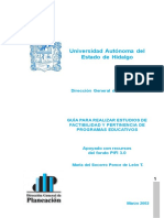 1_guia_factibilidad.pdf