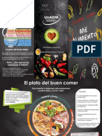 Triptico Del Plato Del Buen Comer PDF