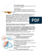 13- Funciones cognitivas superiores 