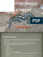Introducción A La Entomología General 1.1