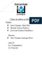 Tipos de Delitos en México