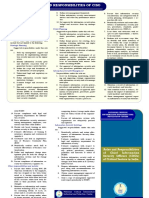 Roles Responsibilities-CISO PDF