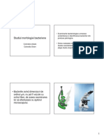 coloratia-gram.pdf