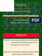 Triage System