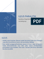 Ileus Paralitik