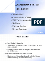 SDH Basics.ppt.ppt