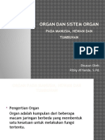 Organ Dan Sistem Organ Pada Manusia, Hewan