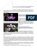 Phalaenopsis PDF