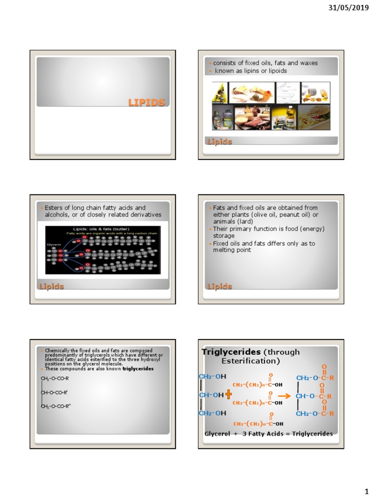 Introduction To Lipids PDF Fat Vegetable Oil