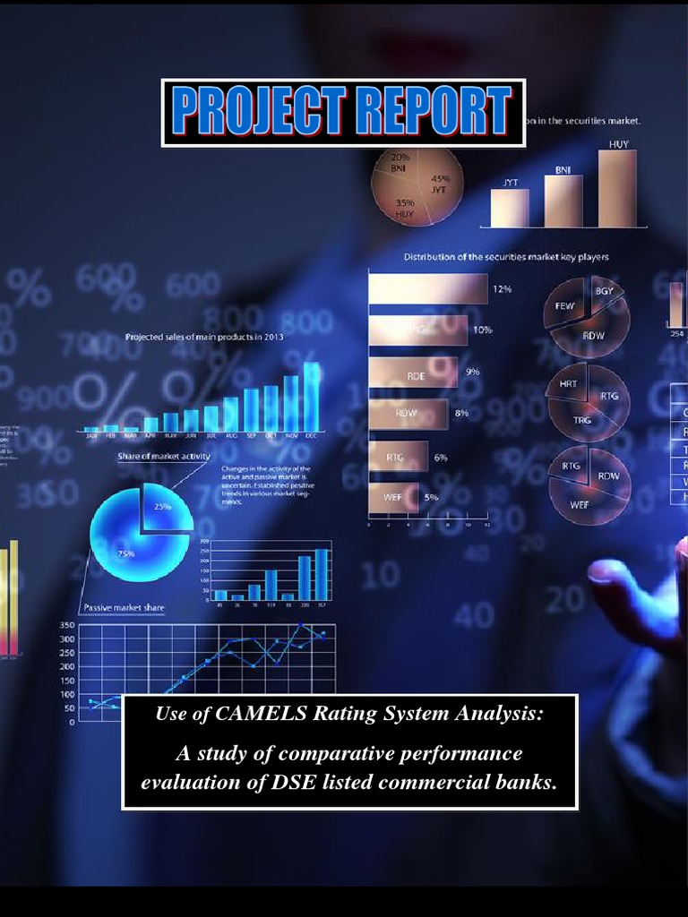 CAMELS Rating Based Performance Analysis | PDF | Market Liquidity ...