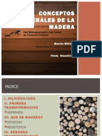 Conceptosgeneralesdelamadera 120827204112 Phpapp01 PDF