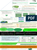 Huella de Carbono PDF