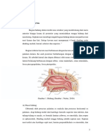 Referat Penyakit Hidung