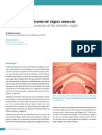 1. Embriologia y Anatomia del Angulo Camerular