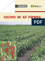 Cultivo Aji Paprika 2010 PDF