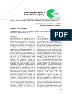 Dialnet-EvaluacionDeImpactoAmbientalEnElPlanoDeInundacionD-5608598