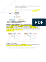 Resumen para Parcial 2 Libro