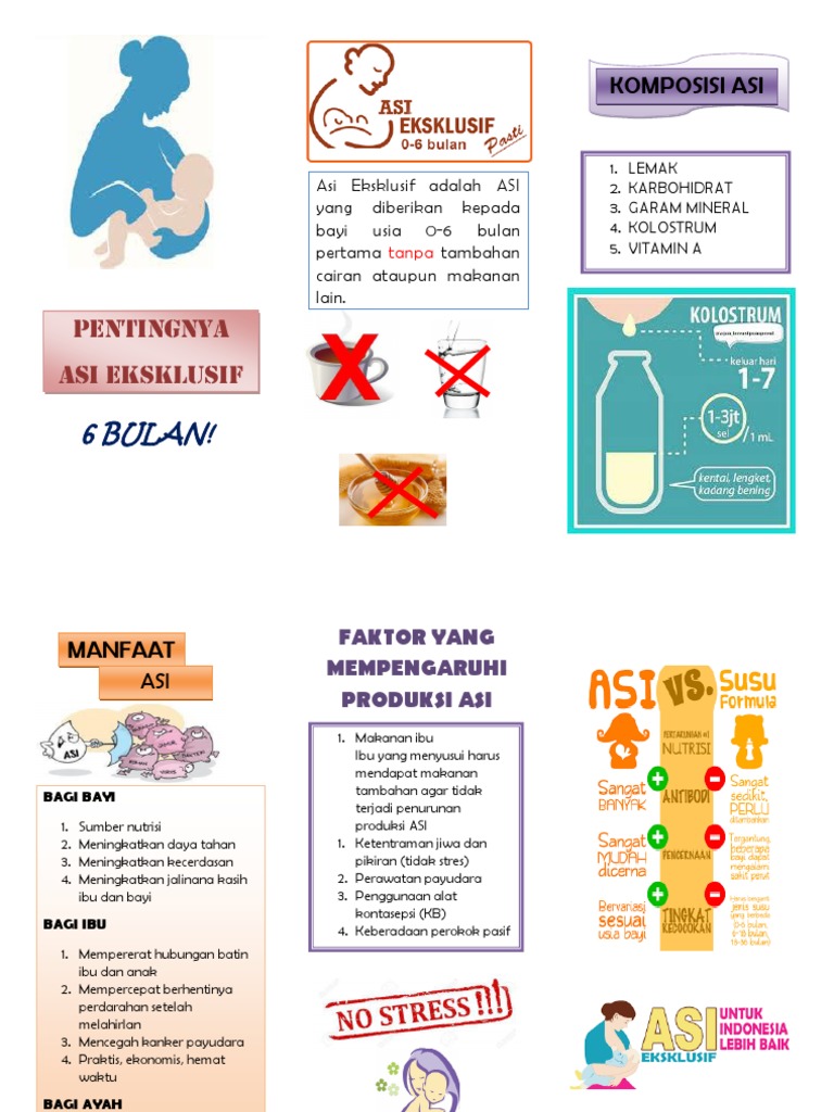 Leaflet Asi Eksklusif | PDF