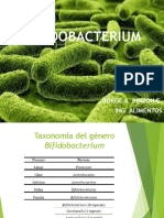 BIFIDOBACTERIUM