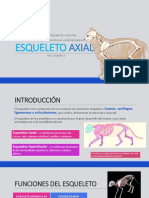 Trabajo Axial Felino PDF