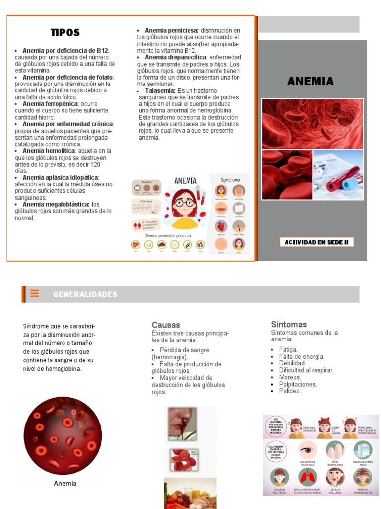Tipos y Causas de la Anemia | PDF | Anemia | Glóbulo rojo