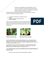 Deficiencia de Zinc Correcion