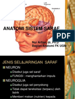 System Saraf