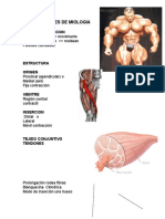 Generalidades Miologia Uc