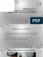 Práctica #1 BPNM PDF