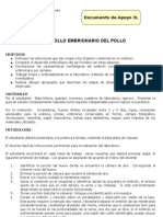 Desarrollo embrionario pollo Histología