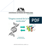 Dogma central de la bilogía molecular