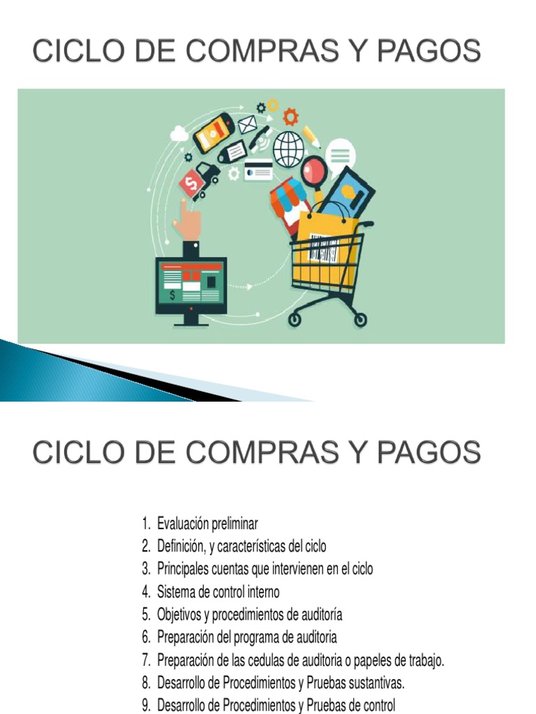 Evaluación del Ciclo de Compras y Pagos | PDF