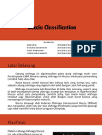 Boccia Classification