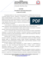 Raport 4.3 CMI PDF