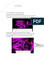 Biokimia Protein