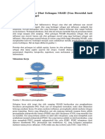 Farmakologi Dasar Obat Golongan NSAID (Non Steroidal Anti Inflammatory Drugs