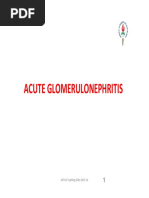 Acute Glomerulonephritis PDF