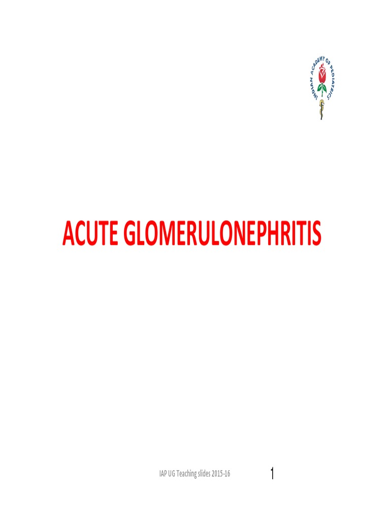 Acute Glomerulonephritis Overview | PDF | Internal Medicine | Nephrology