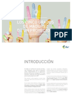 LOS CINCO GRADOS DE MADUREZ DE UN PROYECTO BI.pdf