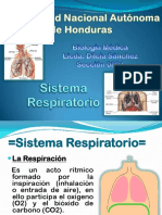 presentacionsistemarespiratorio-120628011941-phpapp02.pdf