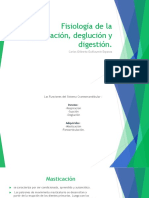 fisiologiadelamasticaciondeglucionydigestion-150830212336-lva1-app6891